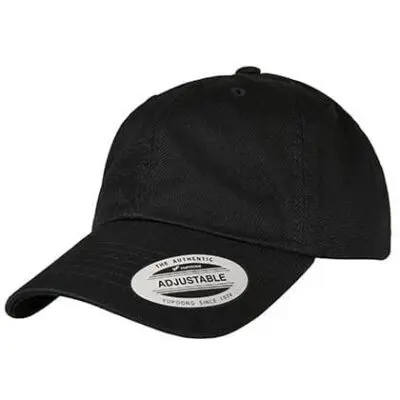 Ecowash Dad Cap