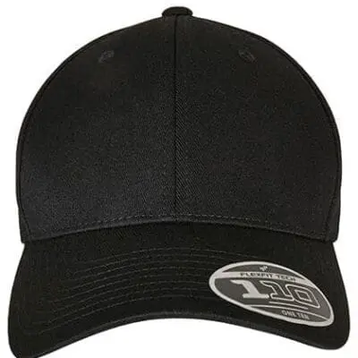 Flexfit 110 Curved Visor Snapback