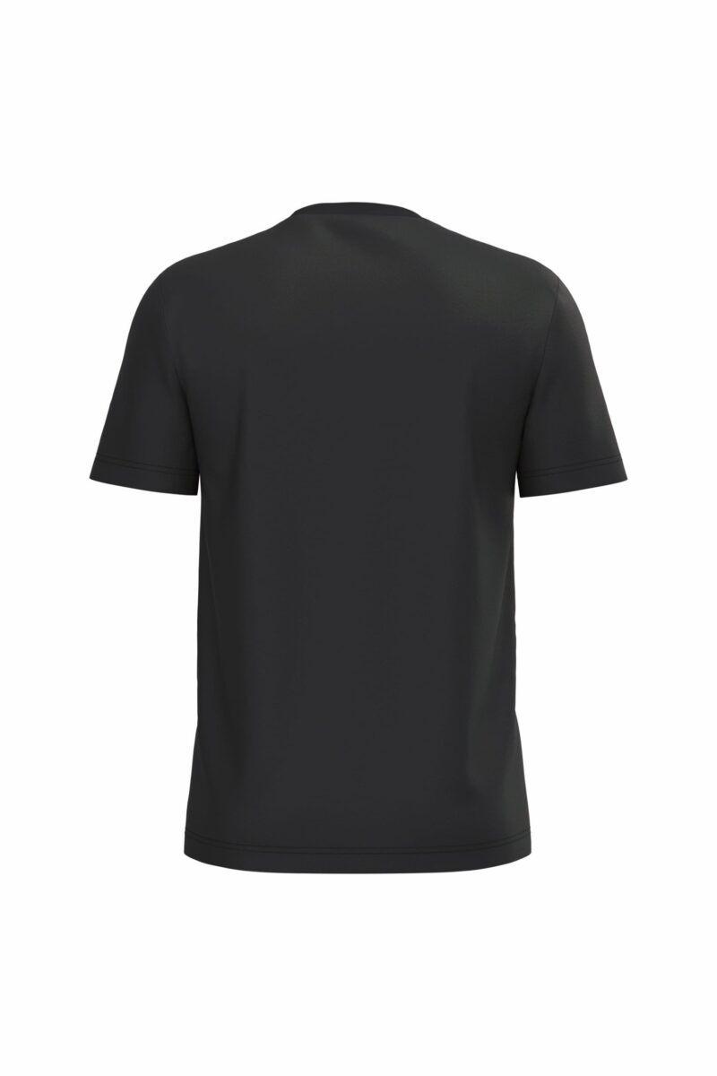 Heren T-shirt Bio190 IC - Afbeelding 2